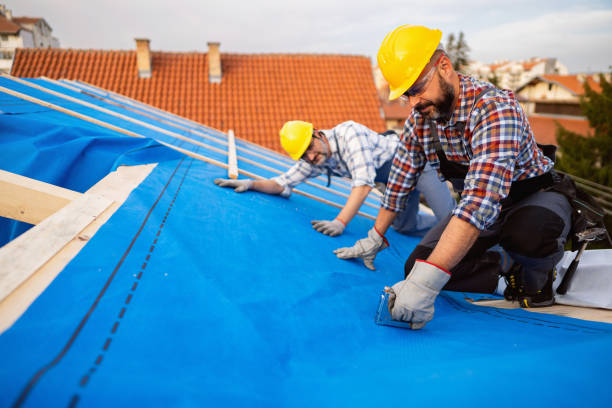 Best Roof Insulation Installation  in Ansonia, OH